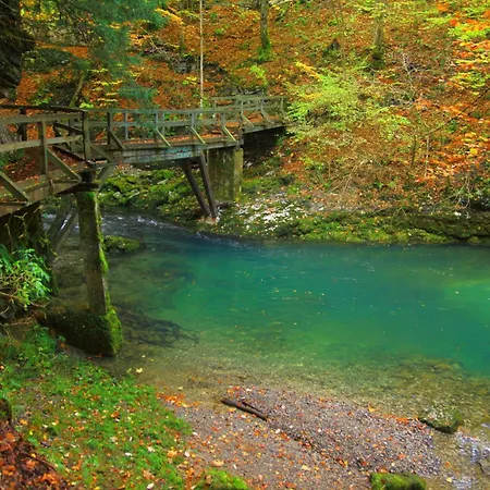 With Private Whirlpool And Sauna - Happy Zavrh